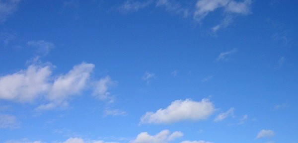 本日は、絶好の写真場日和でした。