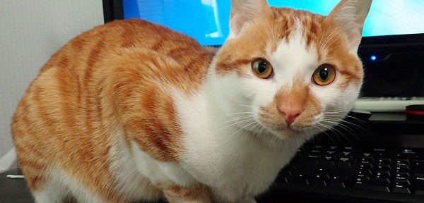 着工前は曇りの日に、完成は晴れた日に。